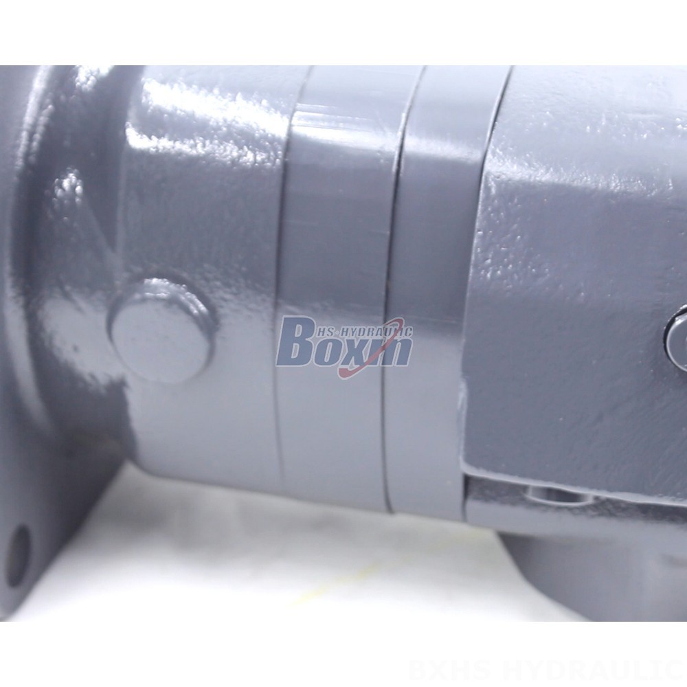 Bulk BM6 Cycloid Hydraulic Motors - Factory Supply - 245 cc/r 150 Lpm detail image